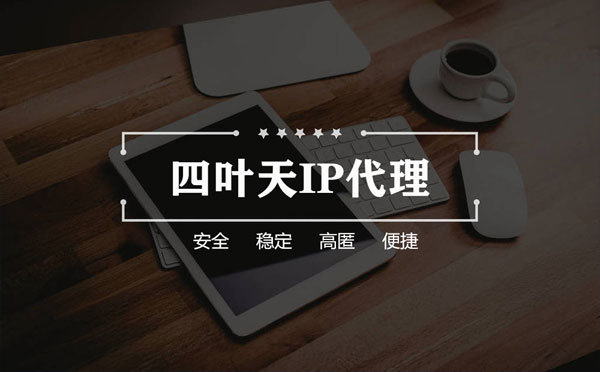 【偃师代理IP】如何快速搭建代理IP？怎么检查代理的效果？